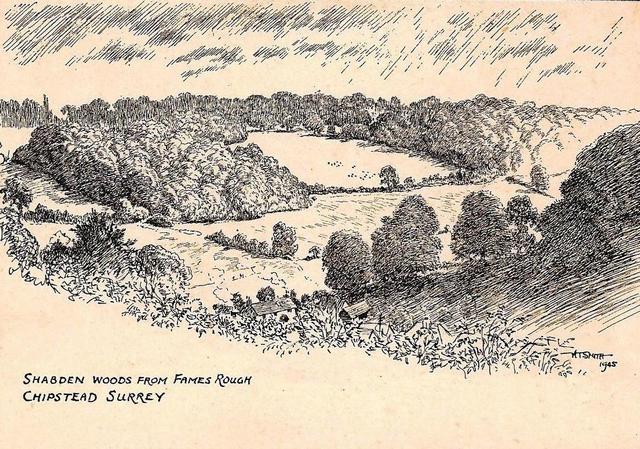 Shabden Wood from Fames Rough